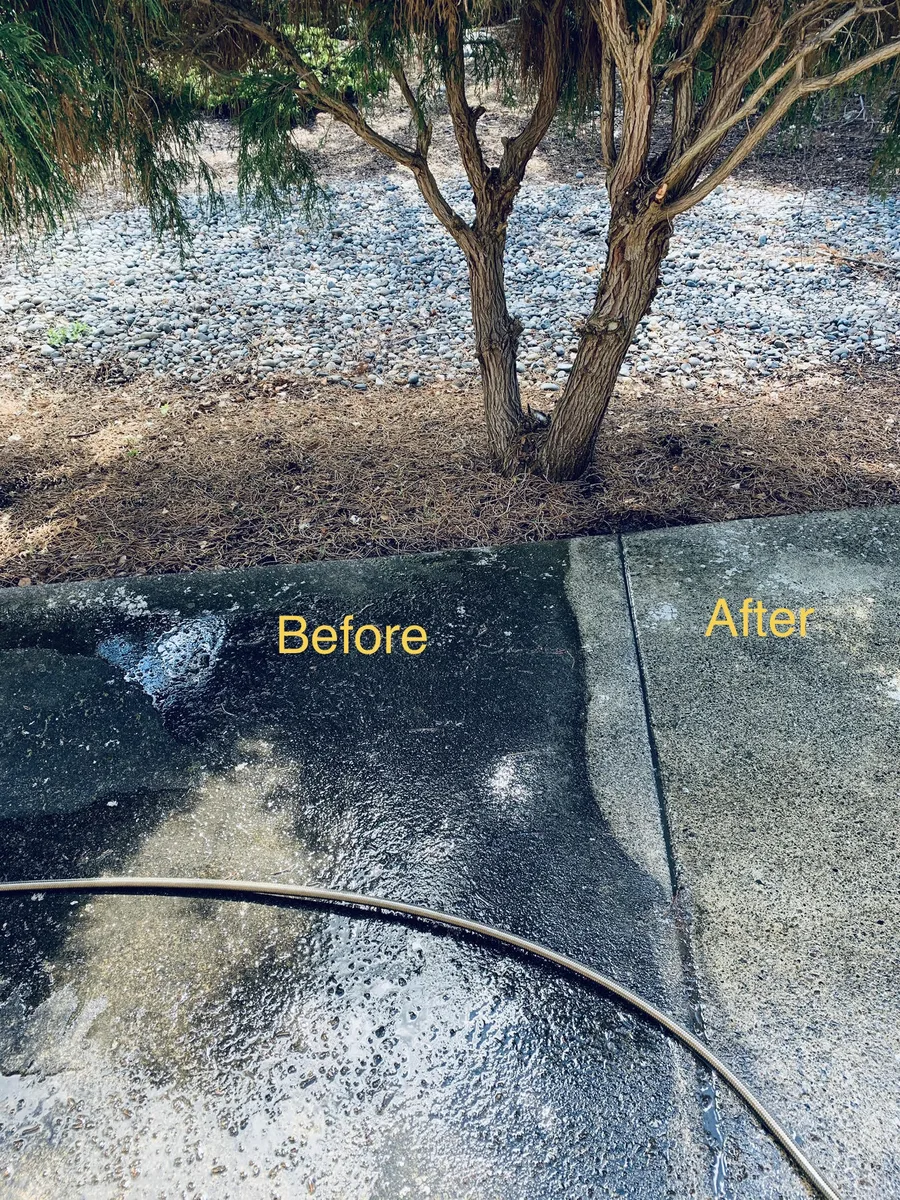 Concrete path beside a tree, dark and stained on the before side and clean on the after side