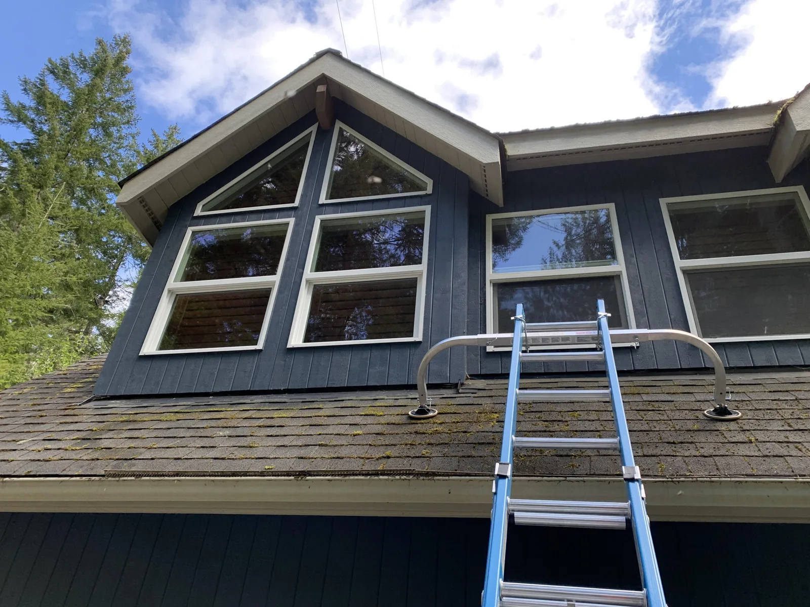 Ladder against the roof of a dark blue house with large gable windows, during a Clear and Clean window washing job